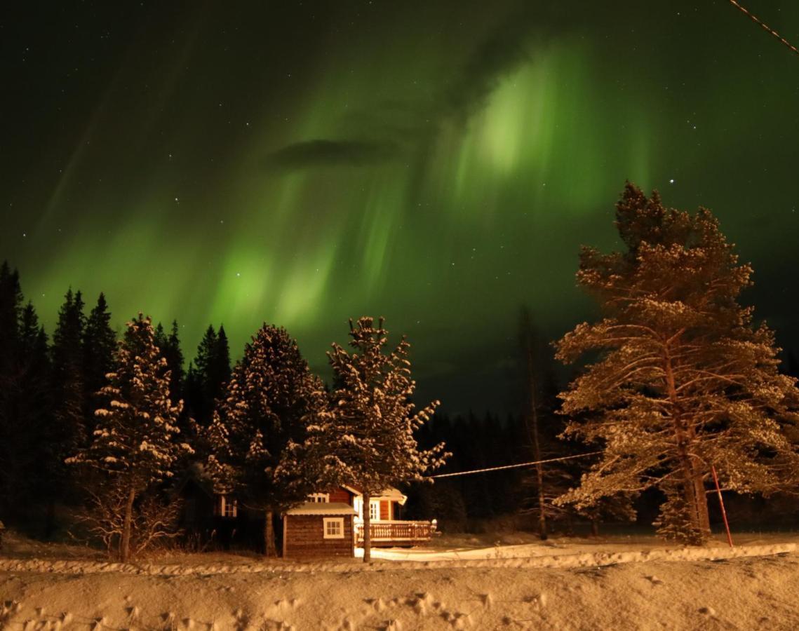 Velfjord Camping & Hytter Extérieur photo