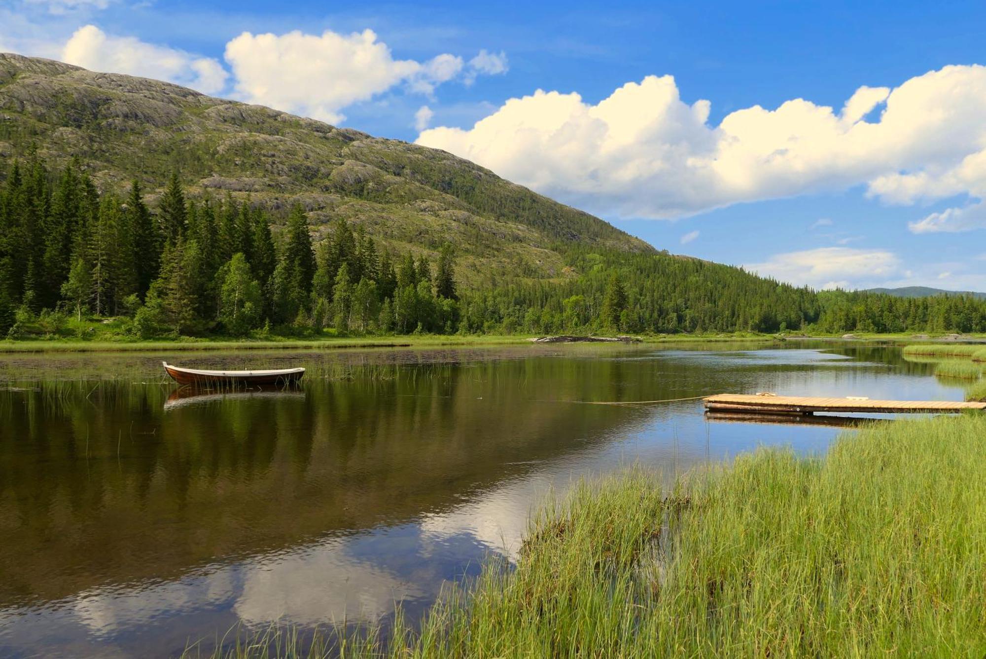 Velfjord Camping & Hytter Extérieur photo