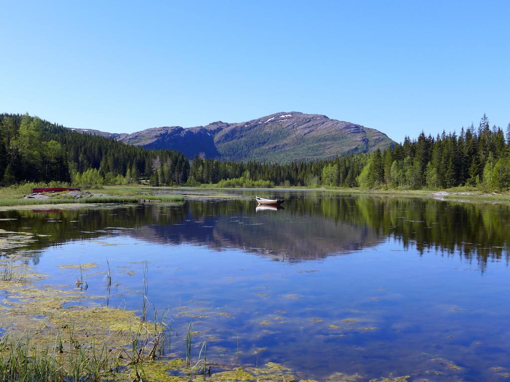 Velfjord Camping & Hytter Extérieur photo