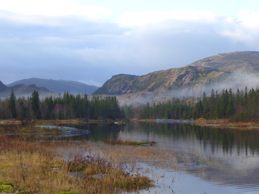 Velfjord Camping & Hytter Extérieur photo