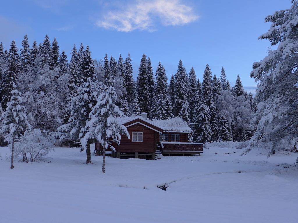 Velfjord Camping & Hytter Extérieur photo