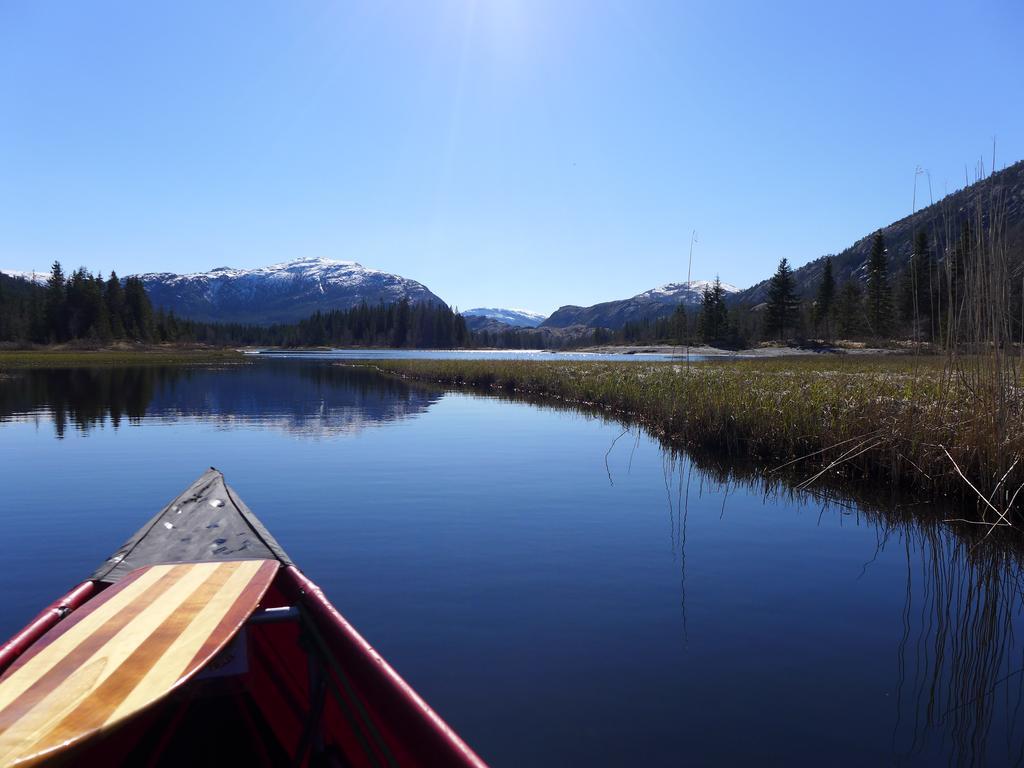 Velfjord Camping & Hytter Extérieur photo