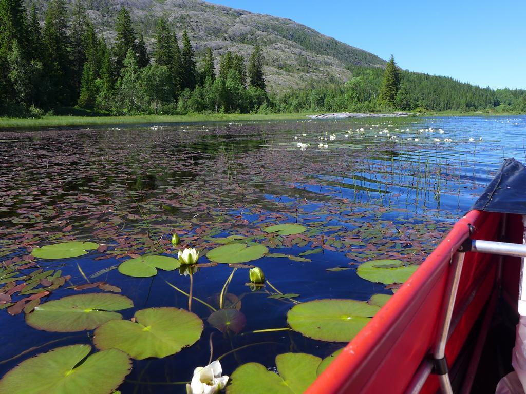 Velfjord Camping & Hytter Extérieur photo