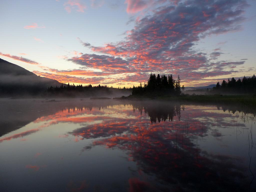 Velfjord Camping & Hytter Extérieur photo